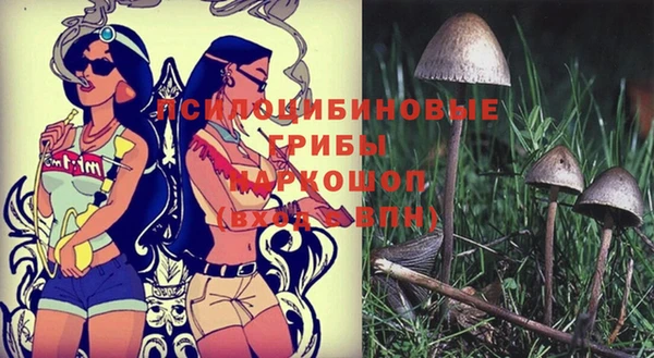 спайс Балабаново