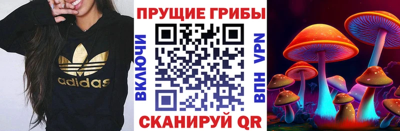 гидра сайт  как найти   Нягань  Галлюциногенные грибы мицелий 